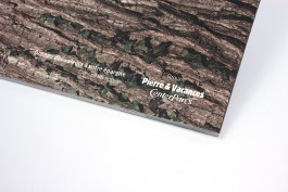 Rodeo Basilic Architectes Nantes Loire Atlantique Design Espace et architecture