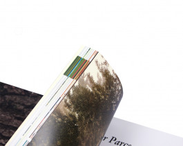 Rodeo Basilic Architectes Nantes Loire Atlantique Design Espace et architecture