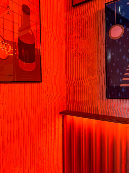 Rodéo Basilic Dakoo02