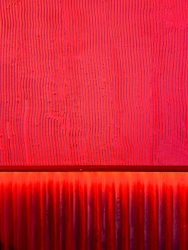 Rodéo Basilic Dakoo04