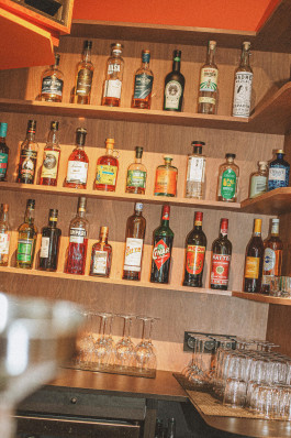 Rodéo Basilic Voyagevoyage07