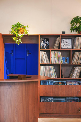 Rodéo Basilic Voyagevoyage08