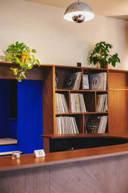 Rodéo Basilic Voyagevoyage10