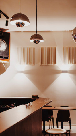 Rodéo Basilic Voyagevoyage13